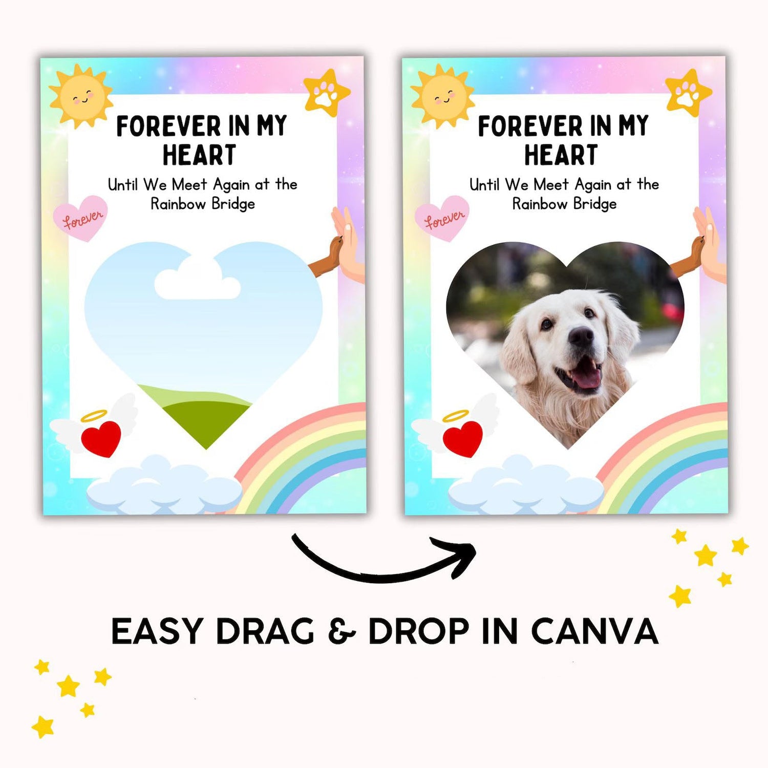 Pet Memory Album – Printable & Editable Guide Rack