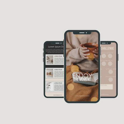900+ DFY Instagram Templates Bundle: Faceless Reels, Stories & Posts